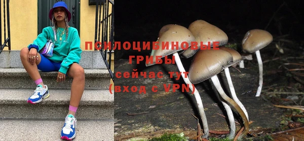 ешки Алексеевка